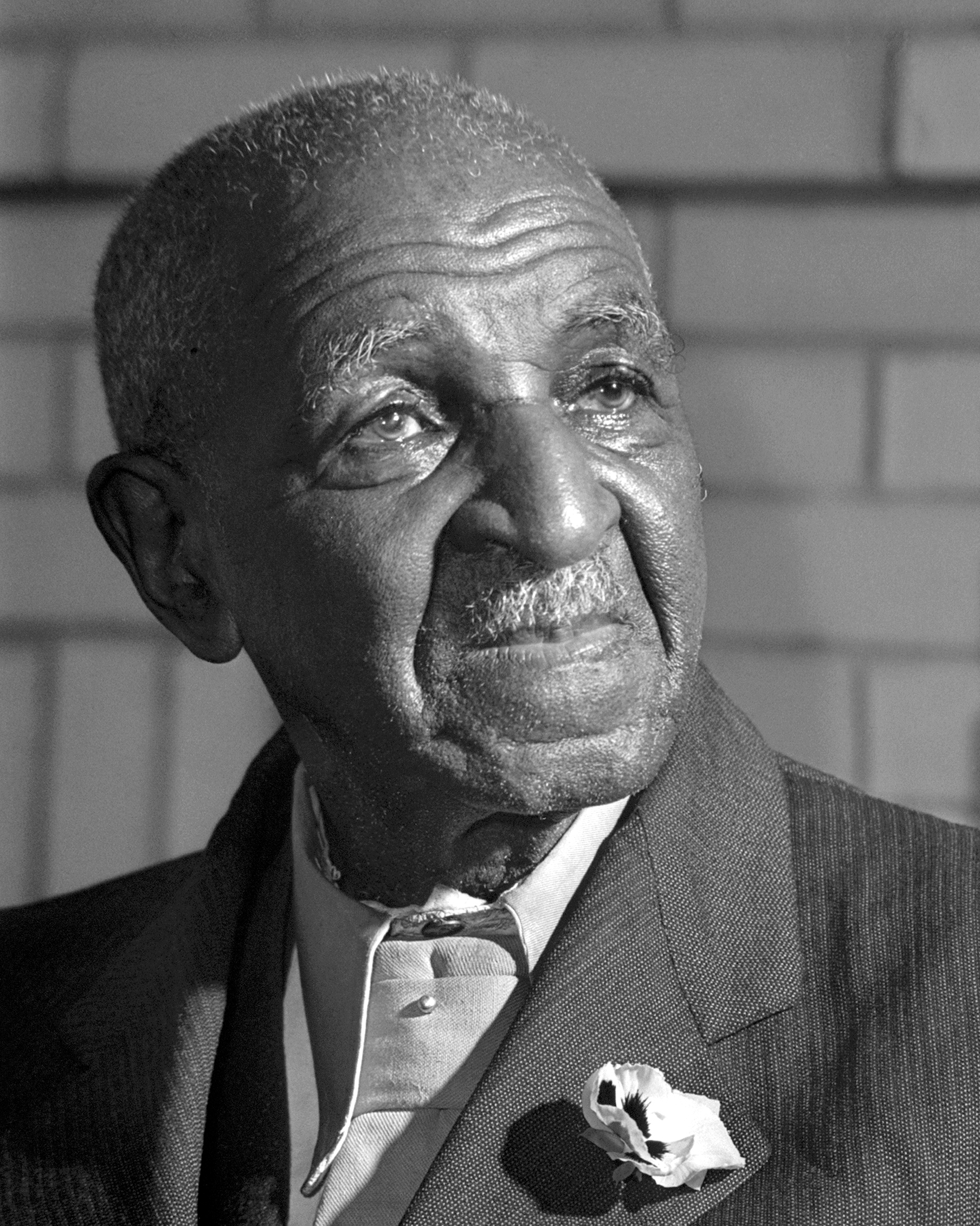 GEORGE WASHINGTON CARVER: The Humble and Ingenious Hero at Heroes ...