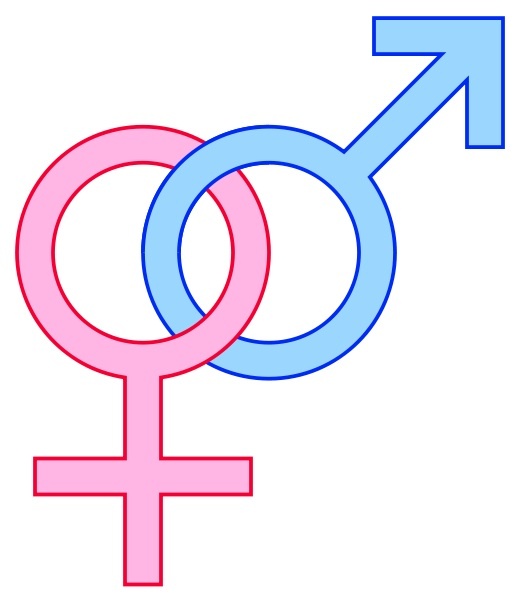 Gender Symbols Male Female Signs11 Heroes What They Do And Why We Need 7969