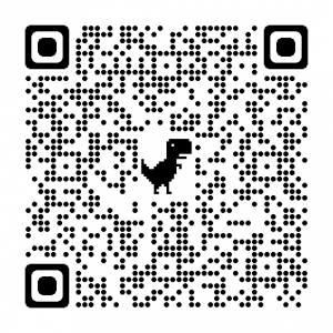 QR code for reflection form
