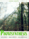 photosynthesis.gif