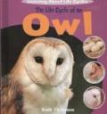 owl-1.jpg