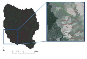 Sample map from Holden and Kelso's research