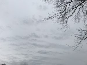 Gray February Sky