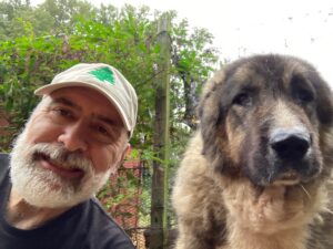 author on left, livestock guardian dog on right