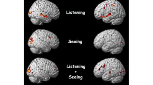 MRI brain imaging studies have found that multitasking reduces overall brain activity. When both listening and seeing, brain activity is actually reduced when compared to the brain activity for the individual tasks or just seeing or listening (Baron 2010)