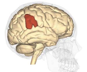 The right supramarginal gyrus plays an important role in empathy. (From http://www.psypost.org/2013/10/im-ok-youre-not-ok-the-right-supramarginal-gyrus-plays-an-important-role-in-empathy-20718)