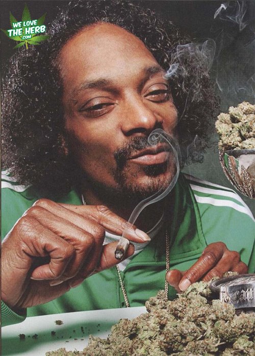 smoke weed everyday snoop dogg mp3 download