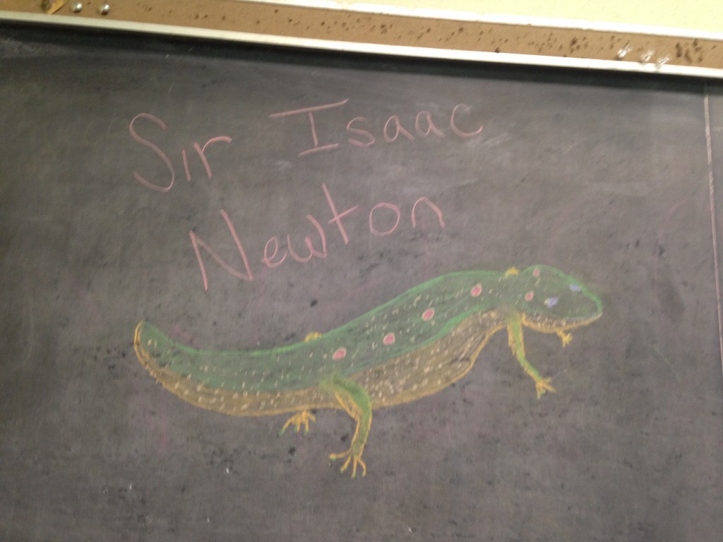 The Grayson Lab's summer research mascot at MLBS. By Andrew Levorse