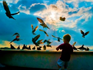 clouds_sun_birds_children_chai_1280x960_wallpaperhi.com