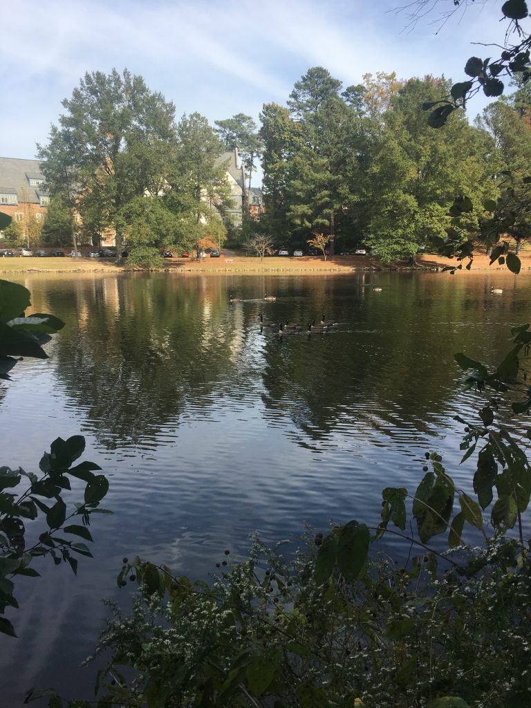 A Familiar Bench Geography of the James (Earth Lodge)