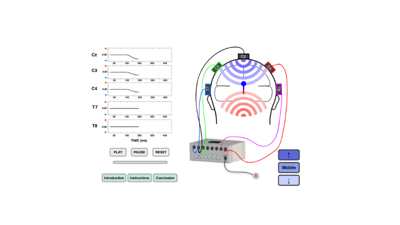 screenshot from interactive simulation