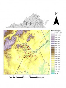 Lyme disease in dogs in Lynchburg, VA