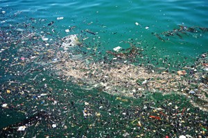 El Great Pacific Garbage Patch